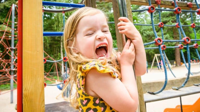 Business plan kinderboerderij 05 picture