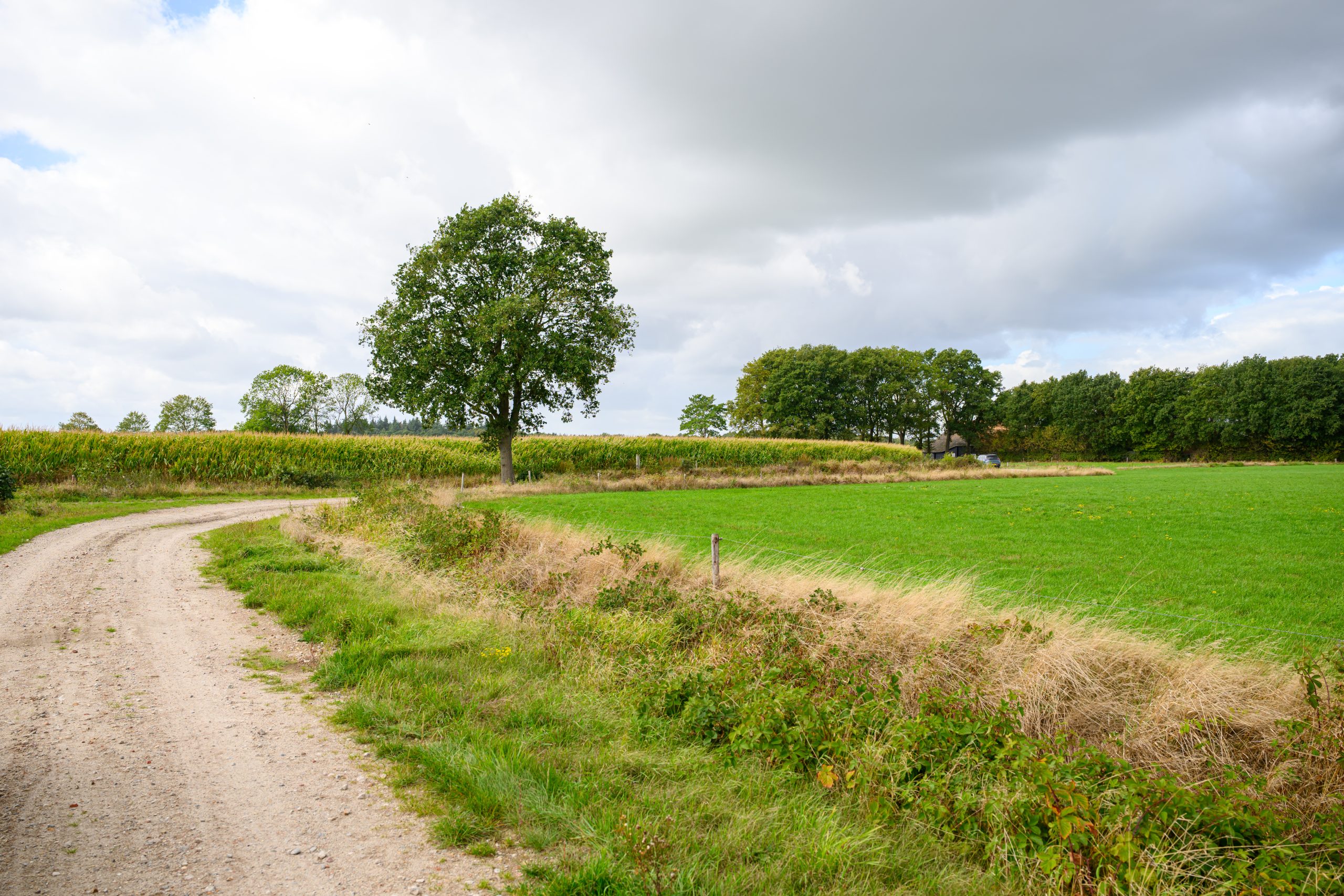 SB013-Portret-RolphTim-16092025-JostijnLigtvoetFotografie-1
